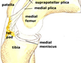 knee12