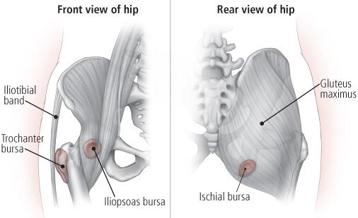 Bursae-hip-1