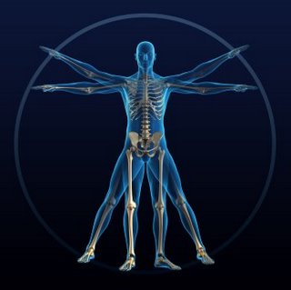 facts-about-the-human-body facts-about-the-human-body