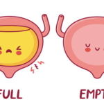  Do You Know Your Bladder Well?